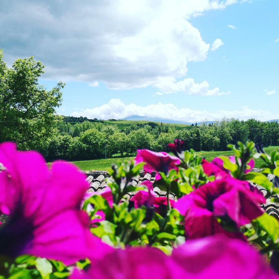 Agriturismo Casalpiano ปีเอนซา ภายนอก รูปภาพ